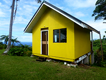 Tanna Adventures - peanuts are grown extensively on Tanna