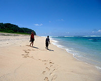 The White beach at Port Resolution is amazing to walk along, and is one of the best beaches in Vanuatu