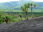 Tanna Adventures- viewing bush on the Mt Yasur Ash plain looking towards Mt Mareun