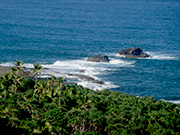 View of Beach on a Tanna Adventures bush Walk
