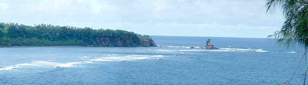 view of Captain Cook Rock just outside Port Resolution and near Shark Bay