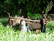 Tanna adventures-ManTanna carrying canoes down to the sea