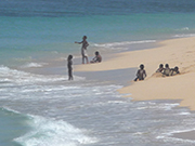 Tanna Adventures Accommodation - waves on wild black sand beach