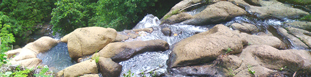 Exerience the thrill of standing on top of the coastal waterfall just on the East coast with a view out to sea