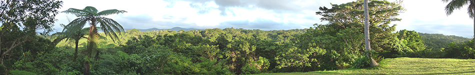 Vanuatu Traveller - photos of places which may be of placed included on the Odyssey.