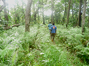 Tanna Adventures - Walking relatively unused tracked to be a part of the untouched bush